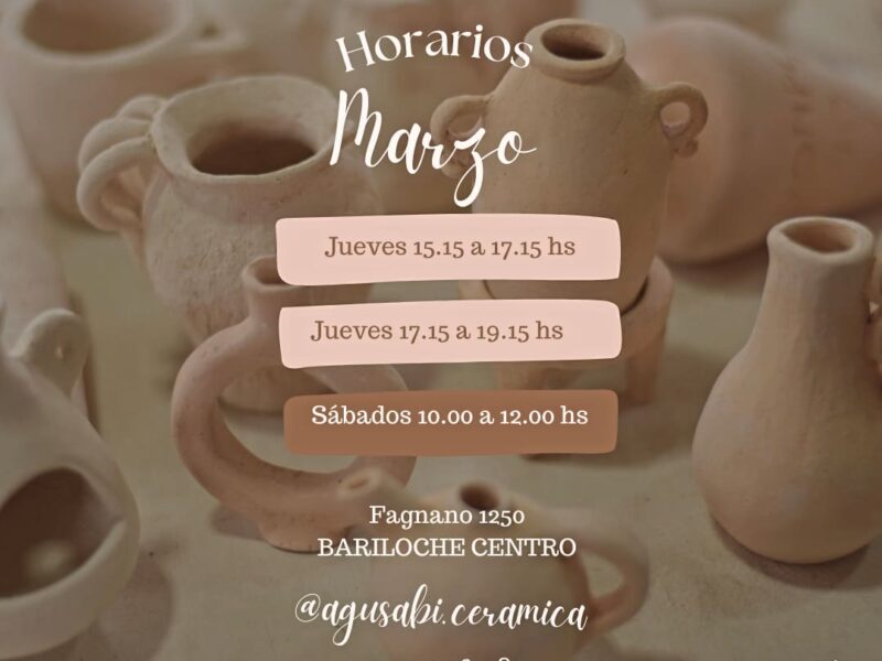 Taller anual de Cerámica ✨ Bariloche centro