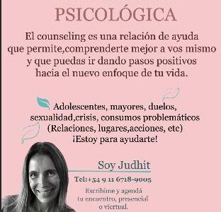 Consultora Psicologica -Counselor